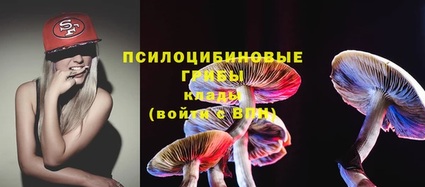 спайс Алзамай