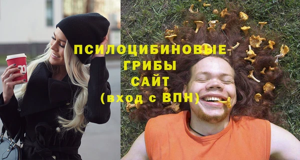 спайс Алзамай