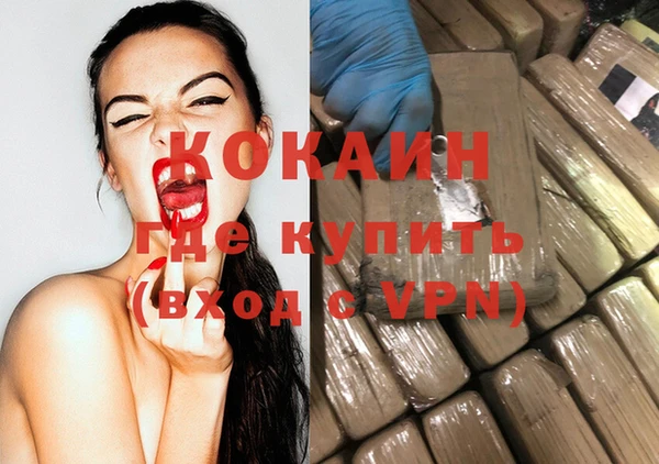 спайс Алзамай